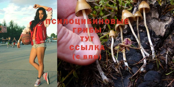 бутират Арсеньев