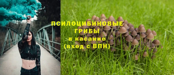 бутират Арсеньев