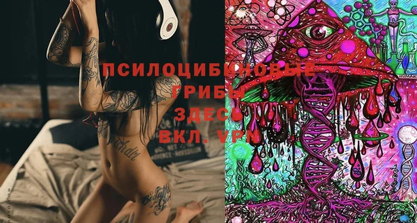 не бодяженный Армянск
