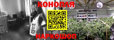 хмурый Долгопрудный
