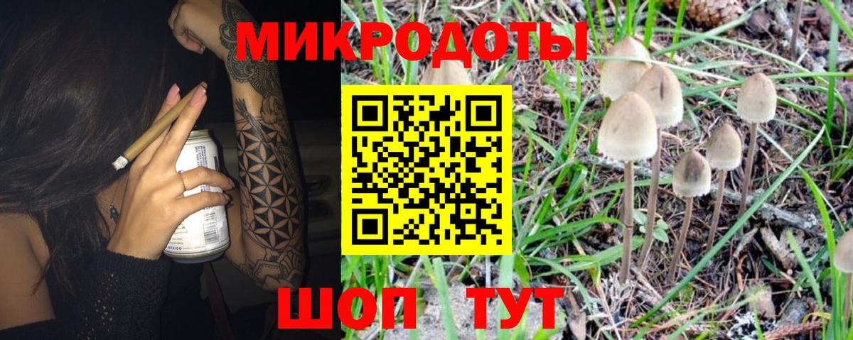 Псилоцибиновые грибы Psilocybine cubensis  Вход с VPN  Брянск 