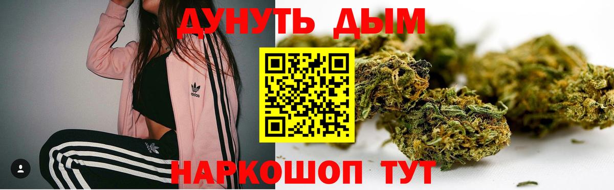Бошки Шишки White Widow  Конопля марихуана  Вход с VPN  Канабис Ganja  Брянск 